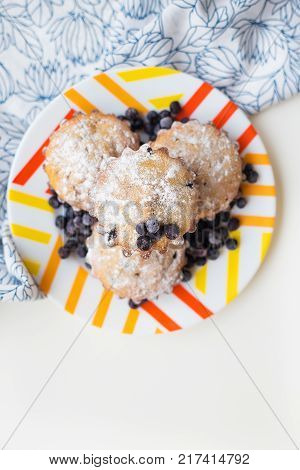 Blueberry muffins on plate and bright floral cloth