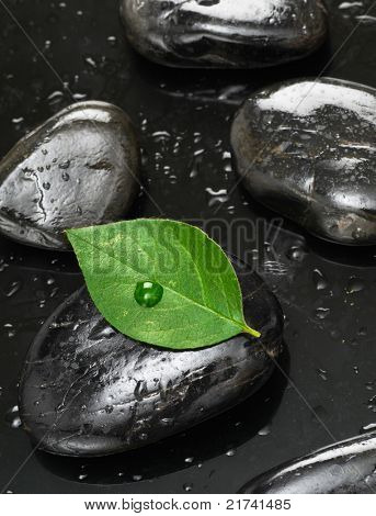 Spa Steine mit Blatt