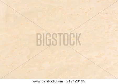 Bright Natural Maple Image & Photo (Free Trial) | Bigstock