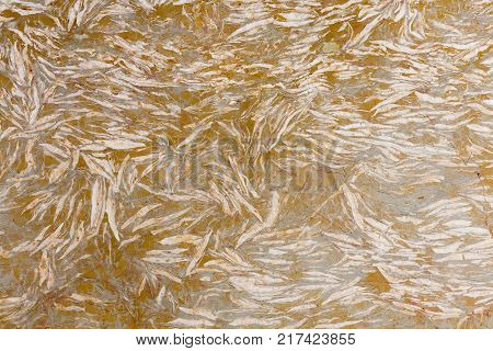 Orange marble texture backcground. High resolution photo.