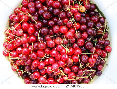 Ripe red sweet cherries with stalks close up.