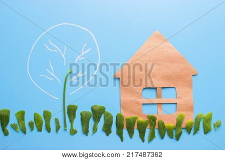 First Flowers In Spring