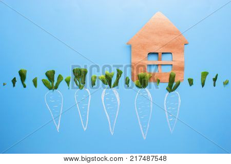 First Flowers In Spring