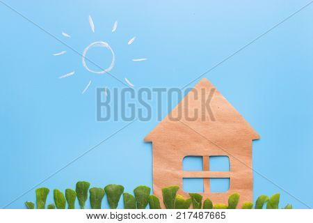 First Flowers In Spring