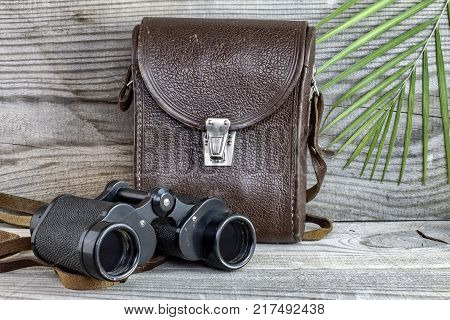 Old binoculars on wooden background with packaging and fern