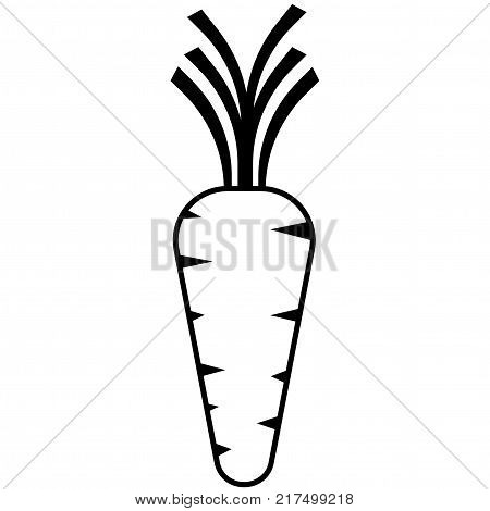 Carrot vector on white background. 
Carrot Icon.