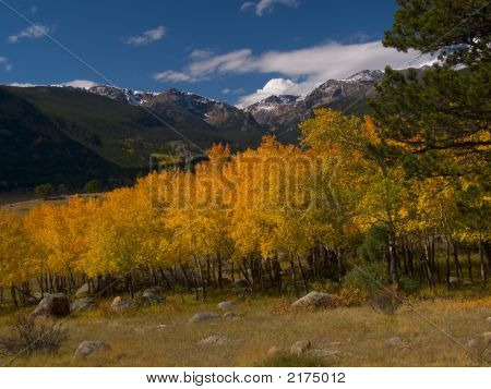 Moraine Park autunno