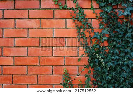 The Wall Of Cinder Blocks Is Painted White. Background Texture