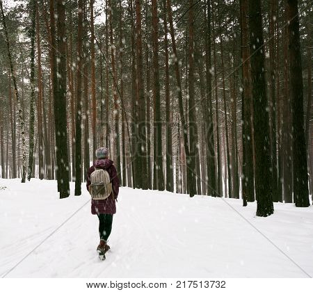 Lonely girl with a backpack walking along the fabulous forest. A lot of pure white snow but it all falls in large snowflakes.