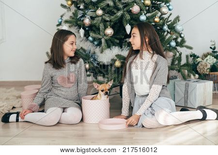 Two girls are sitting by the fir-trees and looking at the gifts. New Year holidays. The time to realize dreams. A gift in the box. New Year's Symbol