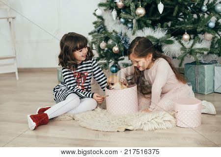 Two girls are sitting by the fir-trees and looking at the gifts. New Year holidays. The time to realize dreams. A gift in the box. New Year's Symbol