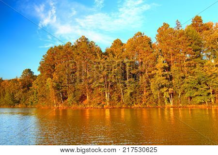 Beautiful foliage along the shoreline of Sweeney Lake in northwoods Wisconsin