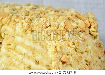 Sweet cake sprinkled with nuts before winter feasts