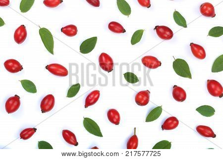 rosehip berries isolated on white background. Flat lay pattern. Top view.