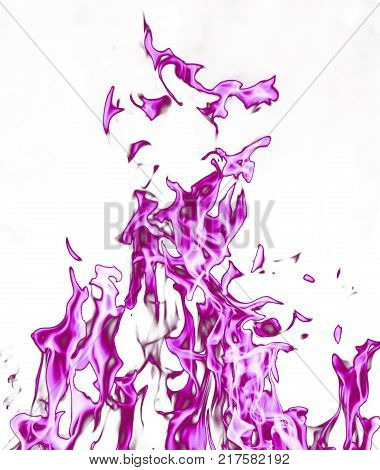 violet flame fire on a white background .