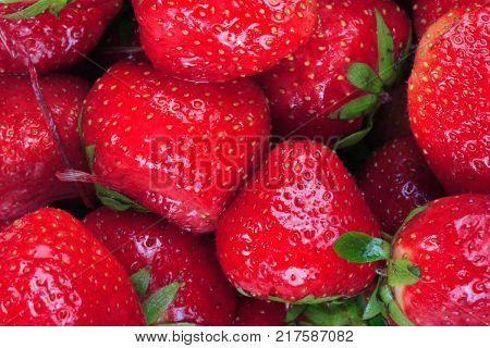 many raw red Strawberry at day as food background
