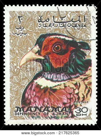 Manama UAE - stamp printed 1972 Multicolor Memorable issue of offset printing Topic Fauna Series Birds Common Pheasant Phasianus colchicus
