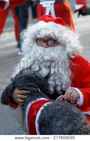 STOCKHOLM SWEDEN - DEC 10 2017: Santas in traditional red dress and beard pat a dog in the Stockholm Santa Run in Sweden December 10 2017