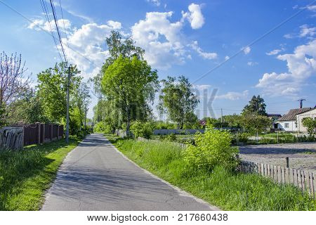 Rural dirt road with tire tracks leading straight through lush green pastures and farmland in a receding view
