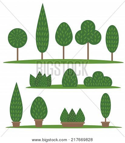 Set of garden and park cartoon trees and bushes. Isolated vector plants on white background