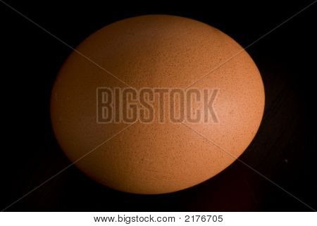 Egg