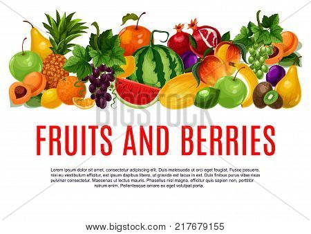 Fruit and berry poster of fresh farm product template. Orange, apple, pear and pineapple, banana, mango and peach, grapes, lemon and watermelon, kiwi, plum, melon and apricot fruit banner design