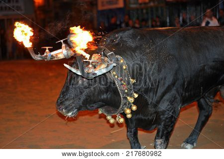 bull in spain with fire in the horns