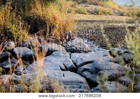 ROCKS AND WILD GRASS AROUND AND WATER STREAM FLOWING