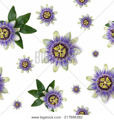 Seamless pattern with Passiflora passionflower on white background