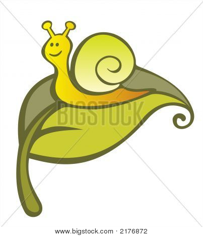 Caracol divertido