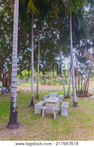 Stone table set under coconut tree in the park