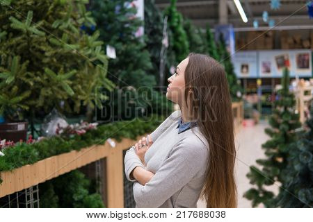 customer girl choosing Christmas tree for the new year on Christmas Eve. difficult decision. Various choice