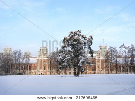 Tsaritsyno in the winter. Moscow. Beautiful building and pine in the snow