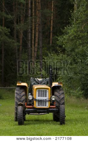 Traktör orman kenarında
