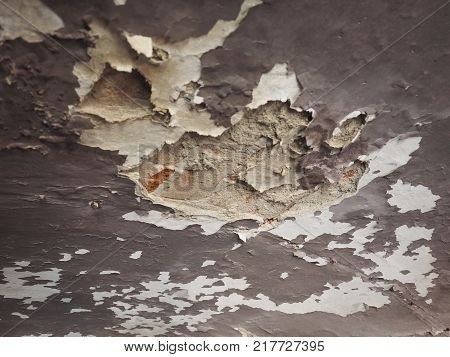 Damp Moisture On Wall And Ceiling