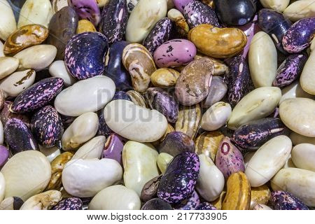 Beautiful mixed colorful beans as background. Raw colorful bean texture. Food photo