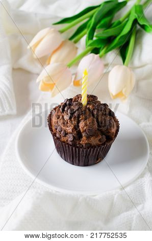Birthday muffins or capkakes with chocolate and tulips on a wooden tray in bed. White background. Sweet food. Festive mood copy space flat lay