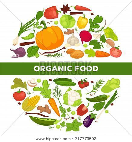 Organic food promotional poster with fresh vegetables grown at farm full of vitamins in circle isolated cartoon flat vector illustrations on white background. Healthy products advertisement banner.