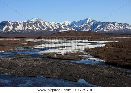 Savage floden i foråret, Denali National Park
