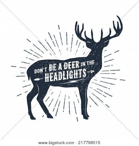 Hand drawn deer textured vector illustration and 