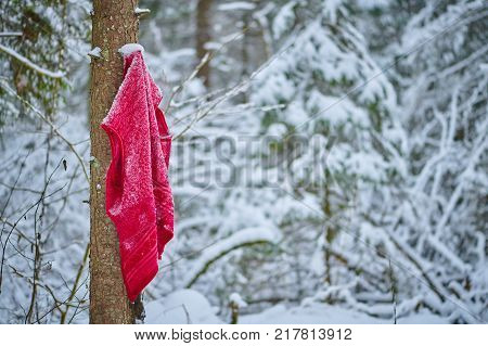 Lost clothes or thing in winter snowy forest