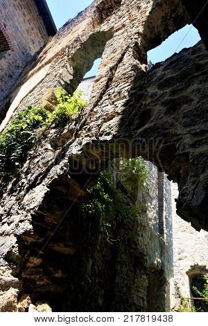 Weed growing on the walls of castle Zuzemberk Slovenia