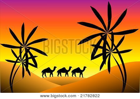 Tramonto nel deserto