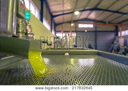 Fresh virgin olive oil pouring into tank at a cold-press factory after the olive harvesting, Crete, Greece.
