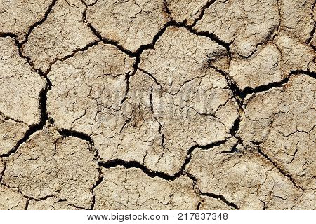 texture of the crackled clay in the desert