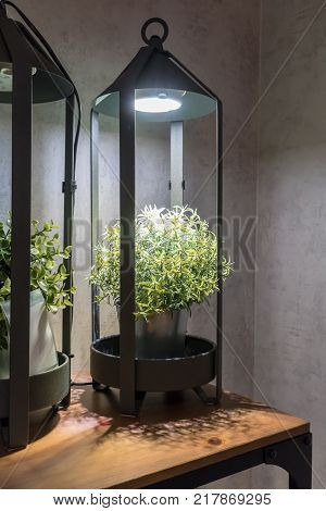 Green artificial plants in metal white painted bucket under lamp light on shelf for home decoration.