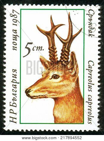 UKRAINE - circa 2017: A postage stamp printed in Bulgaria shows Roebuck Capreolus capreolus Series Deers circa 1987