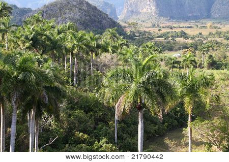Viñales, Cuba