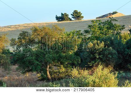 Capo Murro Di Porco, Syracuse, Sicily, Italy