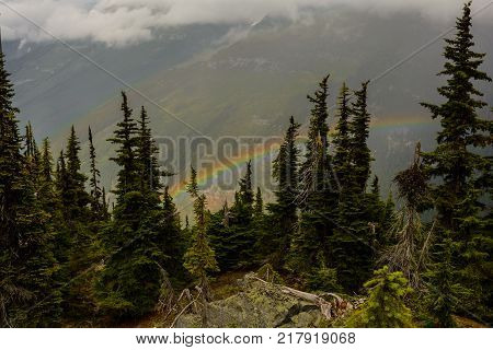 cold morning fog with rainbow in the mountains